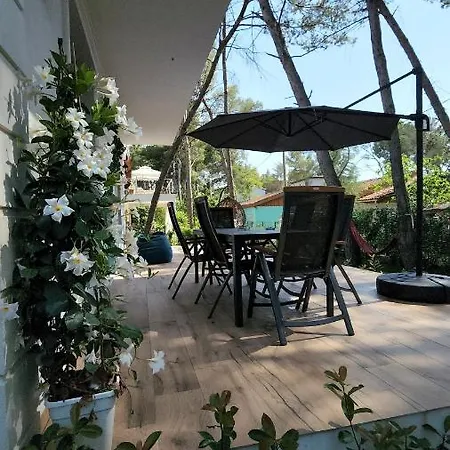 Cozy Pinetrees House بيت للعطل *