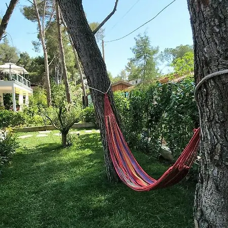 بيت للعطل Cozy Pinetrees House