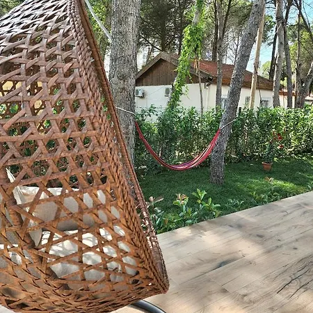 بيت للعطل Cozy Pinetrees House *