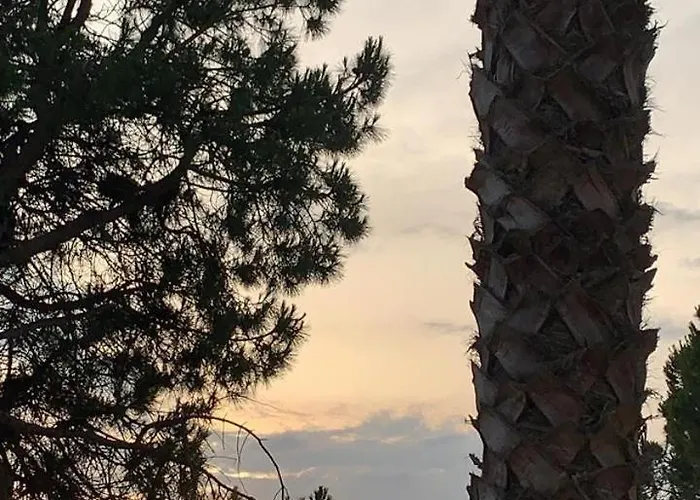 Cozy Pinetrees House Nyaraló Golem