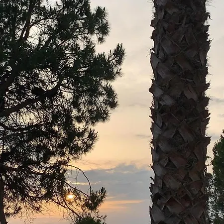 Cozy Pinetrees House Сasa de vacaciones Golem (Tirana)