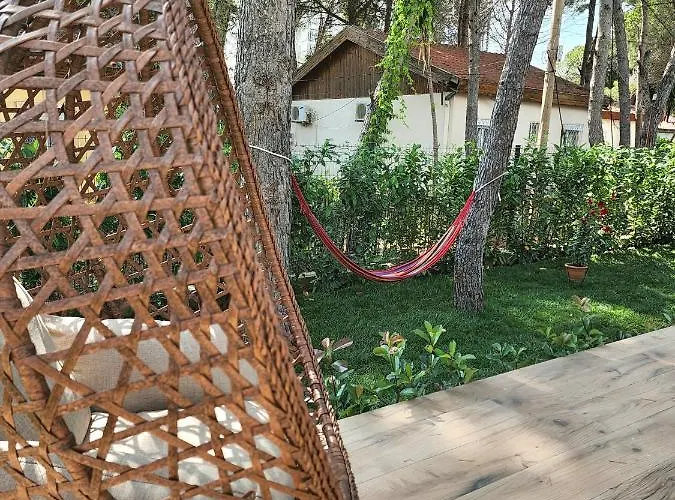 Vakantiehuis Cozy Pinetrees House *